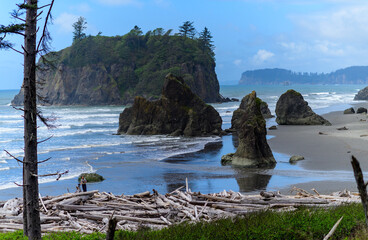 The coast of the Pacific Ocean, large cliffs and islands near the shore. Olympic NP, Washington USA