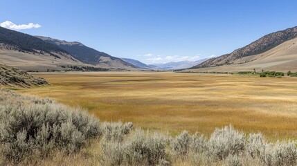 Fototapeta premium Serene Autumnal Valley Landscape in Montana