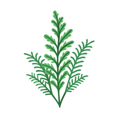 fern plant icon design