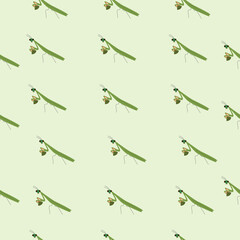 Fototapeta premium Pattern of green praying mantises on a pale green background, offering a calm and natural aesthetic