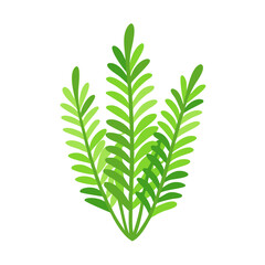 fern plant icon design