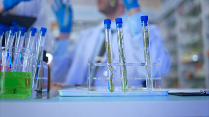 Pharmacist and chemical scientist doing antibiotic trials and testing in the laboratory