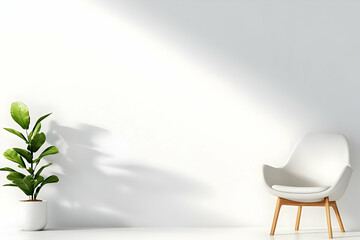 Minimalist white room, armchair, plant