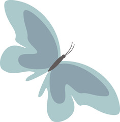 Hand Drawn Butterfly