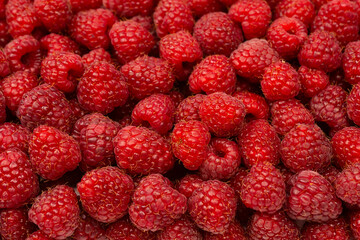 Tasty fresh raspberry as a background.