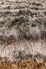 Natural thatch roofing provides sustainable insulation and rustic charm, showcasing traditional building methods with dried vegetation layered for weather protection