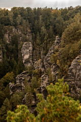 Fototapeta premium Besondere natürliche Felsformationen wie Skulpturen zwischen Bäumen