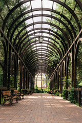 Sunlight filters through the wooden arbor, creating dappled shadows on the brick pathway and illuminating the empty benches, offering a peaceful retreat in the park