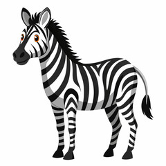 zebra vector illustration