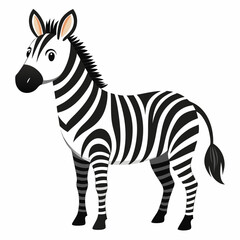 zebra vector illustration