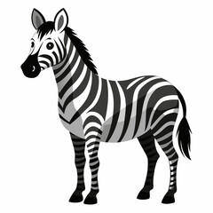 zebra vector illustration