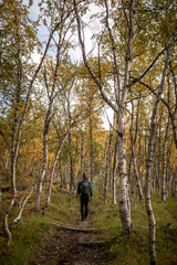 Fototapeta premium Wandern im Wald