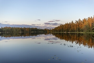 see spiegelt perfekt die baumlandschaft
