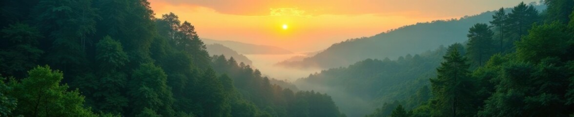 Verdant forest shrouded by misty veil at sunrise, dawn light, rising sun