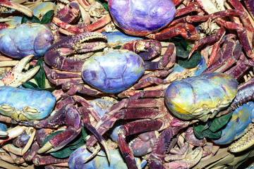 The blue crab, or Guaiamum with its scientific name: Cardisoma guanhumi, is a species of land crab in the gecarcinid family Gecarcinidae, found along the Atlantic coast of South America. © Fernando de Jesus