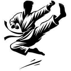Silhouette of martial arts moves