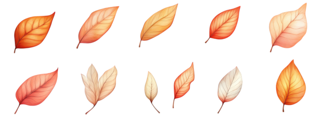 Colorful leaves in various shapes and sizes, showcasing autumn hues and delicate veins, perfect for nature themed designs and illustrations