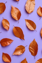 Fototapeta premium Autumn leaves arranged in a grid pattern on a purple background.