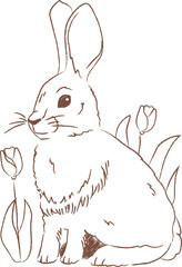 Rabbit With Flowers Sketch