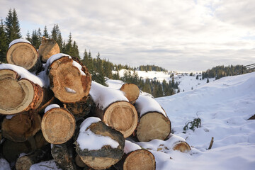 Stack of Firewood with Snow and Frosted Tree Background, Winter Season Concept