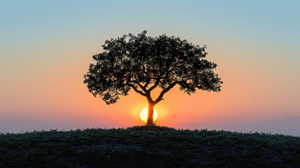 Obraz premium serene landscape at dusk with tree silhouetted against setting sun