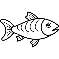 fish on white background
