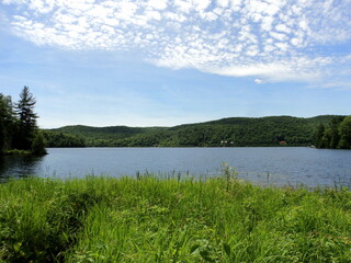 Gatineau's Park Summer Landscape. Viewpoint on the Lake of Gatineau's Park.