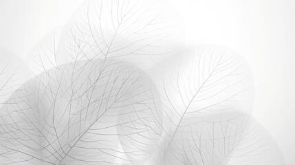 black and white background