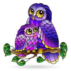 Stained glass element with owls, bright birds isolated on white background