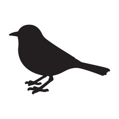Fototapeta premium magpie robin silhouette on white background