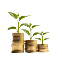 A Conceptual Image of Three Green Plants Growing on Stacks of Golden Coins, Symbolic of Financial Growth and Prosperity.