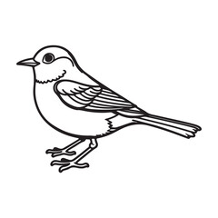 Fototapeta premium magpie robin line art vector on white background