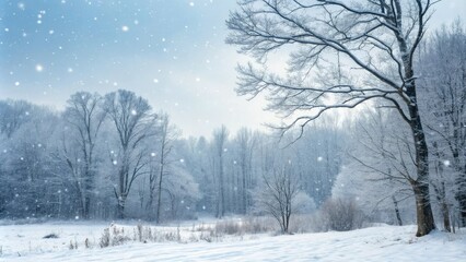 Obraz premium Snowy forest landscape with bare trees, frosty air, and snowflakes gently falling from the sky, winter wonderland, christmas, forest