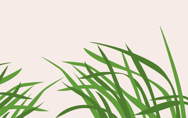 Green grass silhouette in vector.