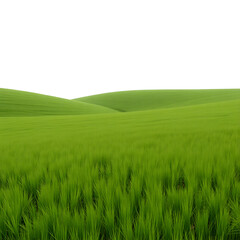 Fototapeta premium beautiful meadow landscape in spring white background 