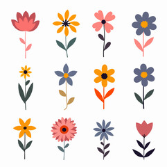 Flat Spring Flower Collection with white background
