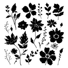 set of flowers vector illustration outline, flower black and white line art, lineart. Illustrator Artwork contour floral leaves, for cards, invitations, banners, posters, print design, decorative