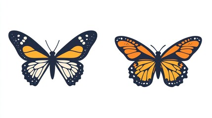 Two butterflies, isolated, white background, nature illustration, design element