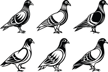 Pigeon set silhouette vector art, A beautiful Pigeon line art vector, Black color Pigeon vector design