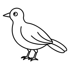 Bird in doodle simple style on white background