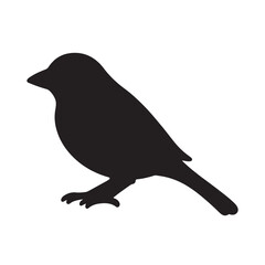Fototapeta premium sparrow isolated silhouette vector on white background