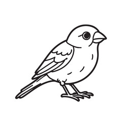 sparrow line art vector