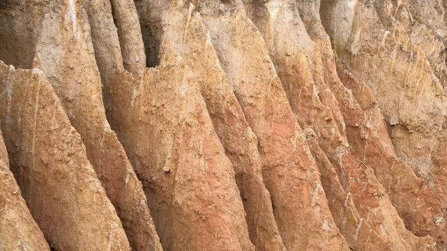 roundup on a deep gully in a slope of red clay
