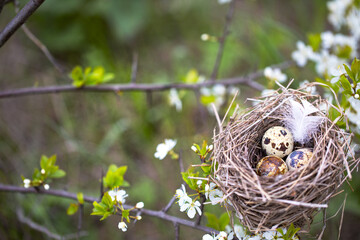Natural background with a nest in flowering branches.