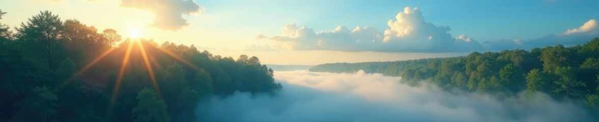 Fototapeta premium A misty forest glade bathed in soft golden light amidst a brilliant blue sky and puffy white clouds, blue sky, fog, mystical