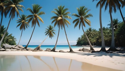Obraz premium Una playa tropical con palmeras, un cielo azul claro y una orilla arenosa