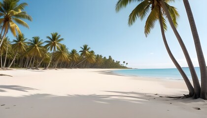 Obraz premium Una playa tropical con palmeras, un cielo azul claro y una orilla arenosa