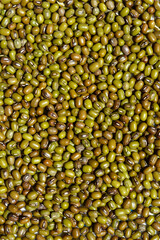 Detail of a surface covered with dry uncooked mung beans