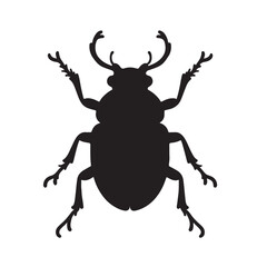 Fototapeta premium beetle silhouette vector