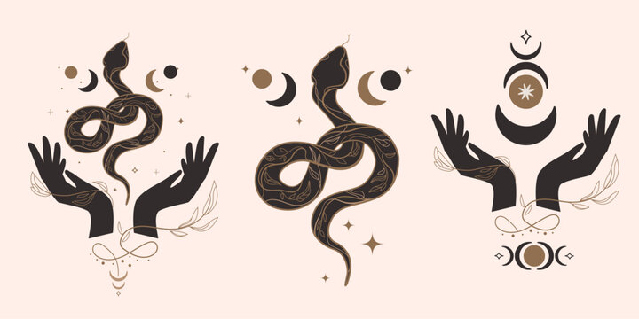 Mystical lillustration set with snake,open hands, and celestial symbols,moon phases and esoteric elements. Perfect for tattoo designs,spiritual art, boho decor, astrology, witchcraft aesthetics.Vector
